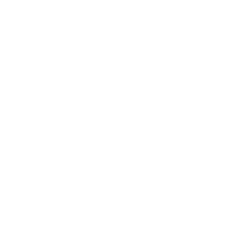 Figment